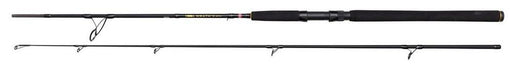 Penn Wrath II Saltwater Spinning rod 10ft 20-80g section