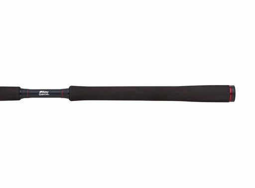 Abu Garcia Beast Pike 802HP 30-100g Casting Rod Reelfishing