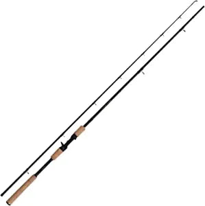 Shimano Beastmaster casting Rod 8ft 30-70g Reelfishing