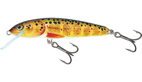 Salmo Minnow Sinking Lure