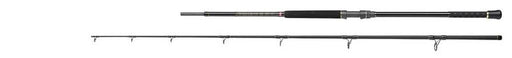 Penn Regiment III Uptide 70-300g Reelfishing